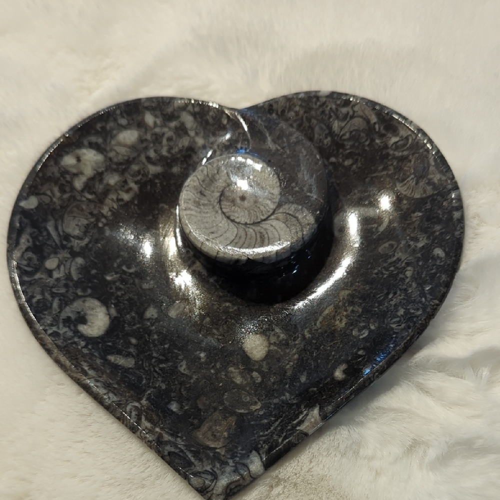 Fossil Heart-Shaped Decorative Plate